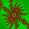 Surreal background / fractal green orange spider