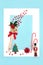 Surreal Christmas Paintbrush Berry Splash with Tree Decorations