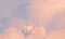 Surreal cloud podium outdoor on blue sky pink gold pastel clouds with empty space.Beauty cosmetic product placement pedestal