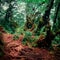 Surreal colors of gloomy tropical forest