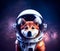 Surreal cute shiba inu astronaut portrait in vibrant colorful outer space