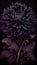 Surreal dark black flower dahlia macro isolated on black