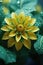 Surreal dark chrome green and yellow flower dahlia macro isolated on black