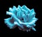 Surreal dark chrome turquoise rose flower isolated