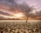 A surreal dry cracked planet with single dead tree on a Frightening sky