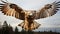 Surreal Eagle In Flight: Captivating Photo With Mythological References