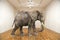 Surreal Elephant, Empty Room, Art Gallery