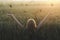 Surreal encounter between a woman and free butterflies flying in the middle of nature