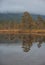 Surreal foggy landscape with forest lake and misty clouds