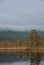 Surreal foggy landscape with forest lake and misty clouds