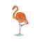 Surreal funky flamingo cartoon vector illustration