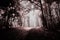 Surreal haunted forest in infrared light