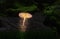 Surreal Illuminated Mushroom At Night