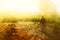 Surreal image of mysterious man walking alone in field during sunset