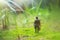 Surreal image of mysterious man walking alone in the forest