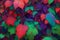 A surreal ivy vine background with a surrealist style and vibrant psychedelic color generated by Ai