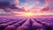 Surreal Lavender Field At Sunrise: Photobashing Landscape Art