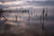 Surreal long exposure view of a lake, with wooden poles on perfectly still water and a pier in the background