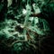 Surreal magic of wild forest in details