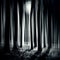 surreal mysterious night forest