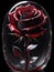 A Surreal Ode to Grief, Featuring an Intricately Beautiful Rose Enshrined in Crystal Darkness
