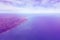 Surreal purple landscape on the sea and shore, view from the plane