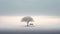 Surreal Seascapes: A Dreamlike Installation Of Lone Tree And Bench On A Foggy Evening