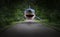 Surreal Shark, Road, Forest, Nature