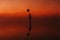 Surreal silhouette of a girl with a balloon in her hand on the water at sunrise in the fog in summer