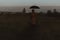 surreal silhouette of a man in a suit with an umbrella, standing in a raincoat in a field. The concept of freedom