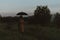 surreal silhouette of a man in a suit with an umbrella, standing in a raincoat in a field. The concept of freedom