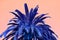 Surreal Style Pop Art of Vivid Blue Palm Tree on Pink Background