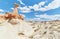 The surreal Toadstool Hoodoos in Utah's Grand Staircase-Escalante National Monument