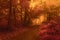 Surreal trail in foggy forest. Trees with red leaves