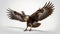 Surreal Turkey Wing Out Span: A Time-lapse Photography Of A Hybrid Animal