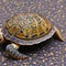 A surreal turtle with a shell adorned with intricate mosaic patterns, carrying a miniature garden on its back2, Generative AI