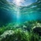 Surreal Underwater Landscape with Vibrant Seagrass Meadow