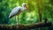 Surreal White Stork On Wood Branch With Green Moss