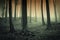 Surreal woods with spooky mist