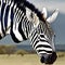 A surreal zebra with a unicorn horn, galloping through a vibrant savannah in a dreamlike world3, Generative AI