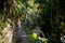surrealist botanical garden in Xilitla,surreal architecture, fantastic landscape, beautiful old castle,Beautiful structures,