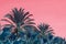 Surrealistic abstract palms against pink skies
