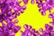 Surrealistic purple cactus on a yellow background in minimal style