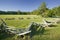 Surrender Field, where Lord Cornwallis surrendered to General George Washington ending the American Revolution, the actual