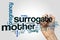 Surrogate mother word cloud