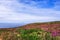 Surrounding areas to Wheal Coates