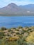 The Surrounding Desert and Blue Waters of Roosevelt Lake in Arizona Vertical