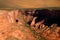 Surrounding Hills and Valley Canyon De Chelly Arizona