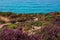 The surrounding of Wheal Coates mine on the north cornish coast