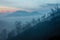 Surroundings of Ijen volcano. Trees through fog and sulfur smoke. Banyuwangi Regency of East Java, Indonesia.